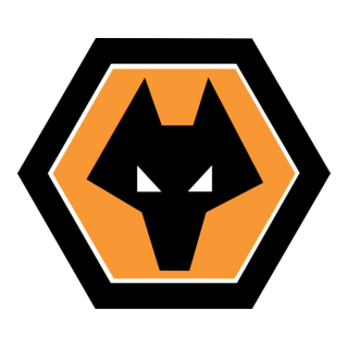 Black wolf's head silhouette inside an orange hexagon.